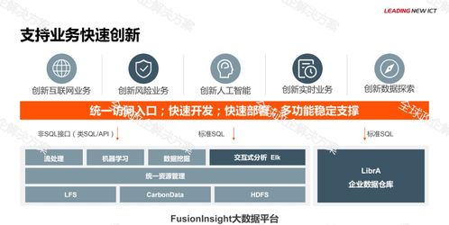 华为金融大数据解决方案的软件开发实践